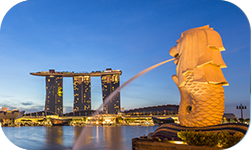 美國銀行賬戶及時回復(fù)消息