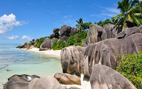 塞舌爾公司注冊(cè)"timg