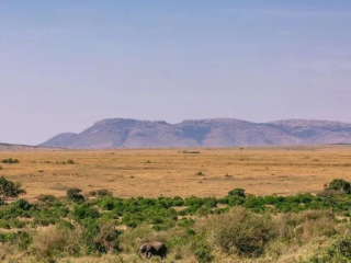 商務(wù)部研究院發(fā)布《中國(guó)與非洲經(jīng)貿(mào)關(guān)系報(bào)告（2023）》