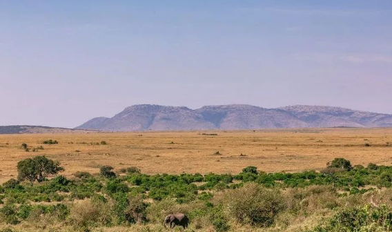 中國(guó)非洲對(duì)外經(jīng)貿(mào)發(fā)展