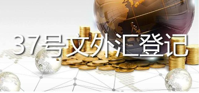 37號文外匯登記 37號文外匯登記