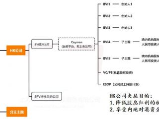 搭建離岸VIE架構(gòu)時(shí)，注冊(cè)WFOE公司有什么作用