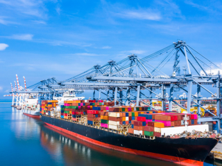 寵物品牌出海新機(jī)遇：歐洲“綠色革命”下如何掘金千億賽道？